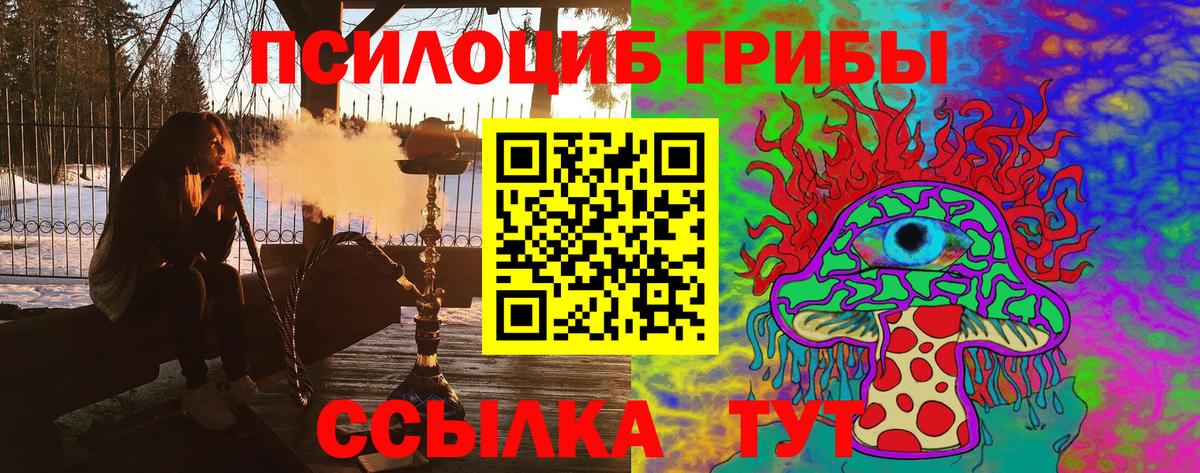Рязань  Псилоцибиновые грибы ЛСД  Вход с VPN  Псилоцибиновые грибы мицелий 